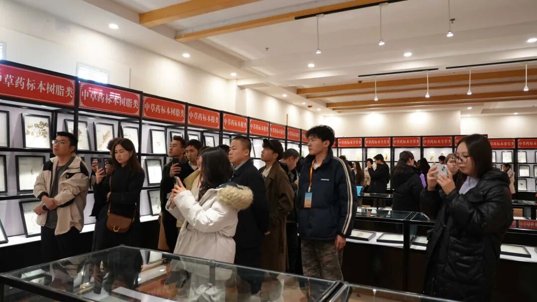 丝路青年相聚霍尔果斯 文化交融织就友谊新篇