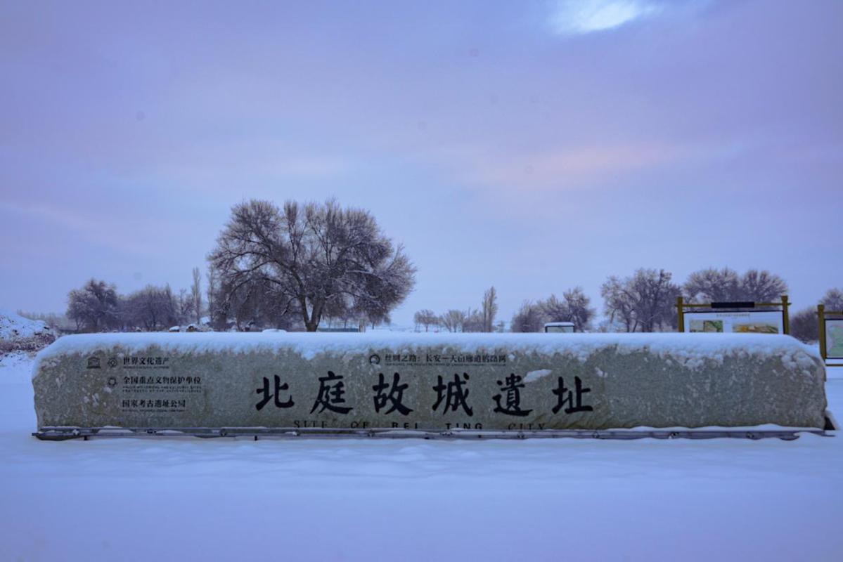 北庭古城：丝路明珠的千年回响