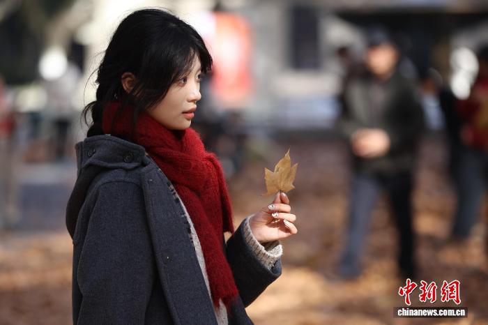 东南大学最美200米落叶景观华丽“上线”