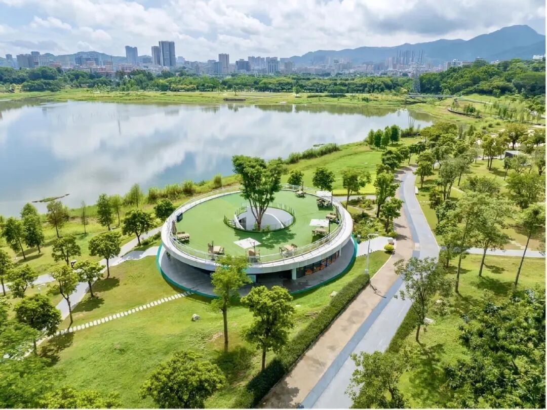 宝安唯一!拿下4项大奖!