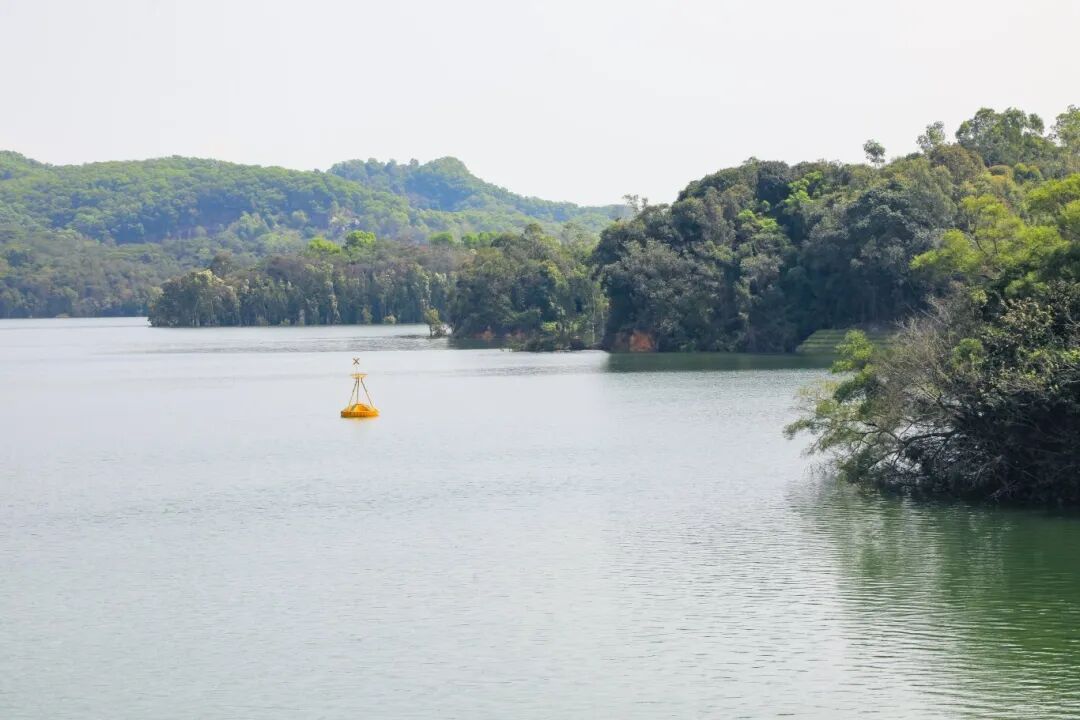 宝安唯一!拿下4项大奖!