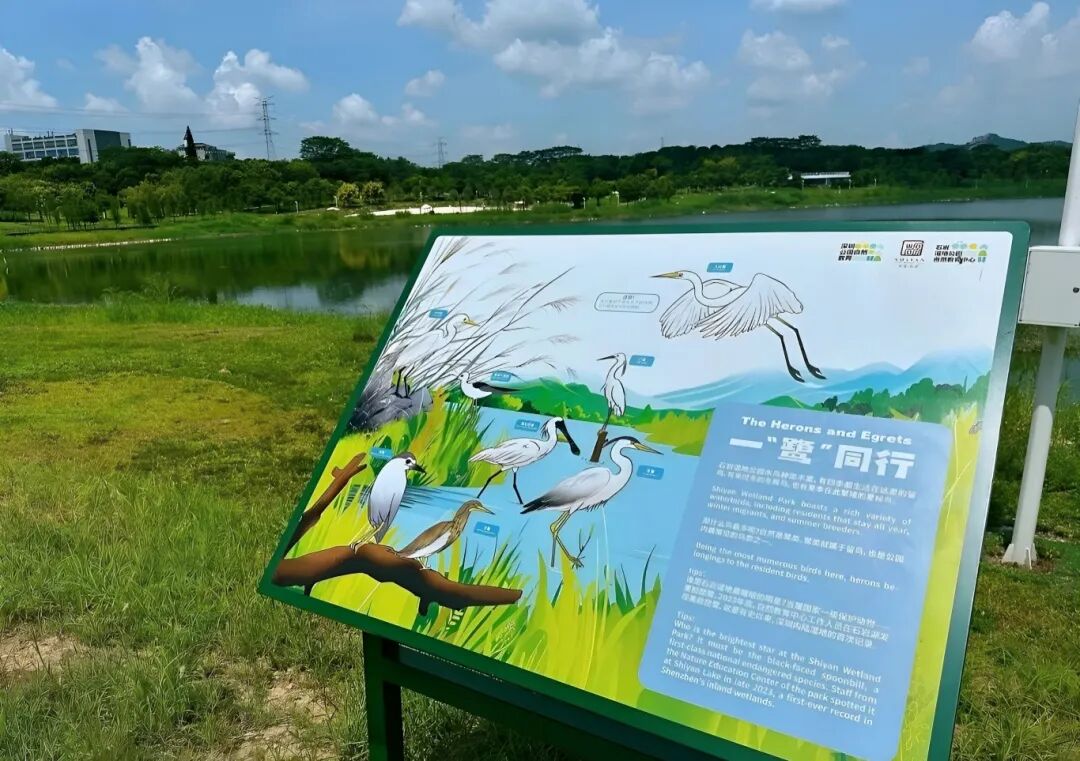 宝安唯一!拿下4项大奖!