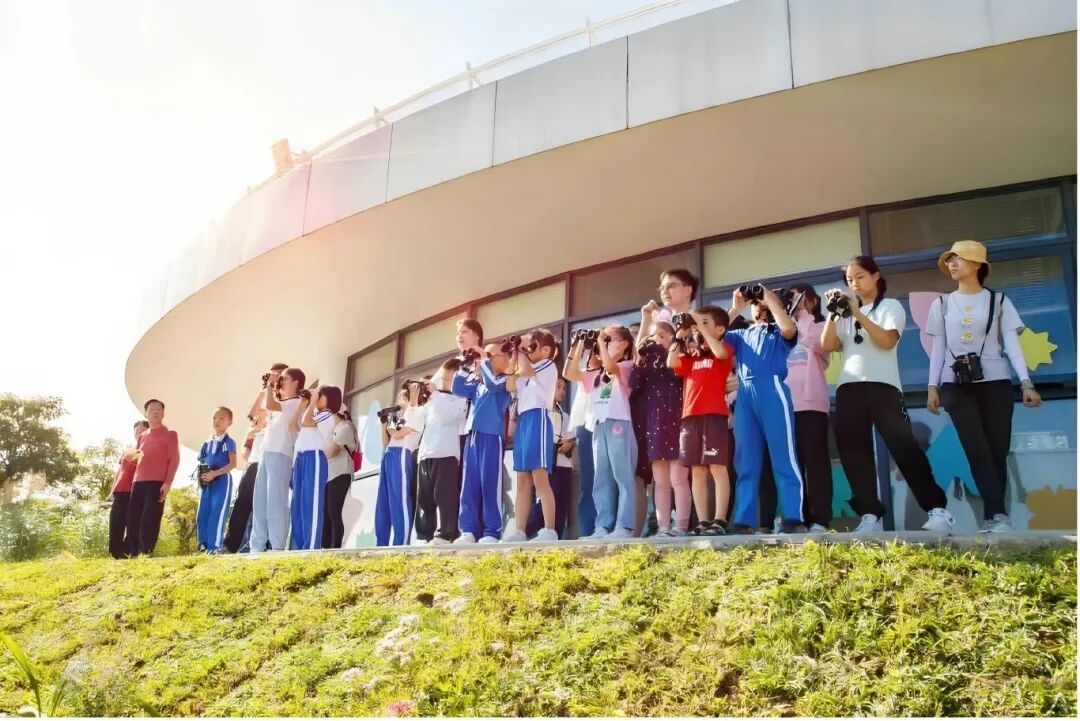 宝安唯一!拿下4项大奖!