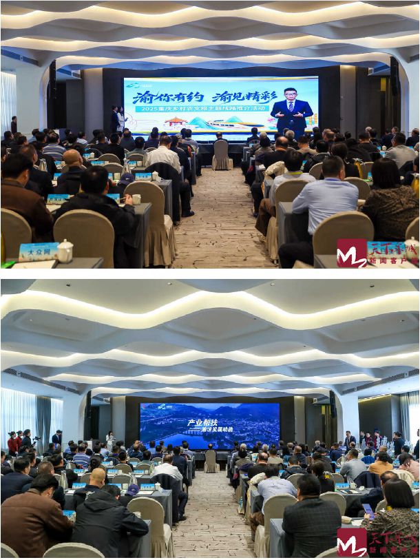 山海协作再深化 鲁渝情谊续新篇——“渝你有约·渝见精彩”重庆乡村农文旅主题线路推介活动在济南举办