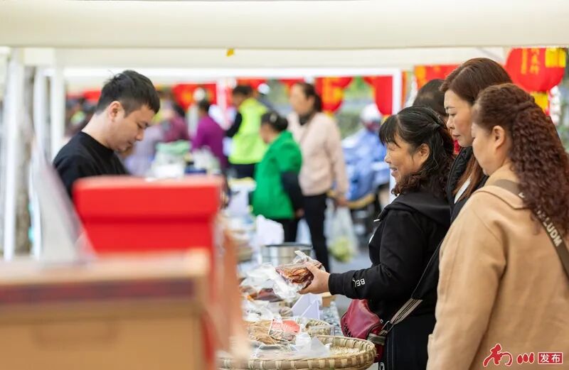 千年银杏下，真的在“长钱”！德隆镇的“金色财富”火出圈了