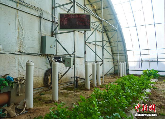 从凭经验到靠数据 甘肃环县科技加持下的“棚”勃生机