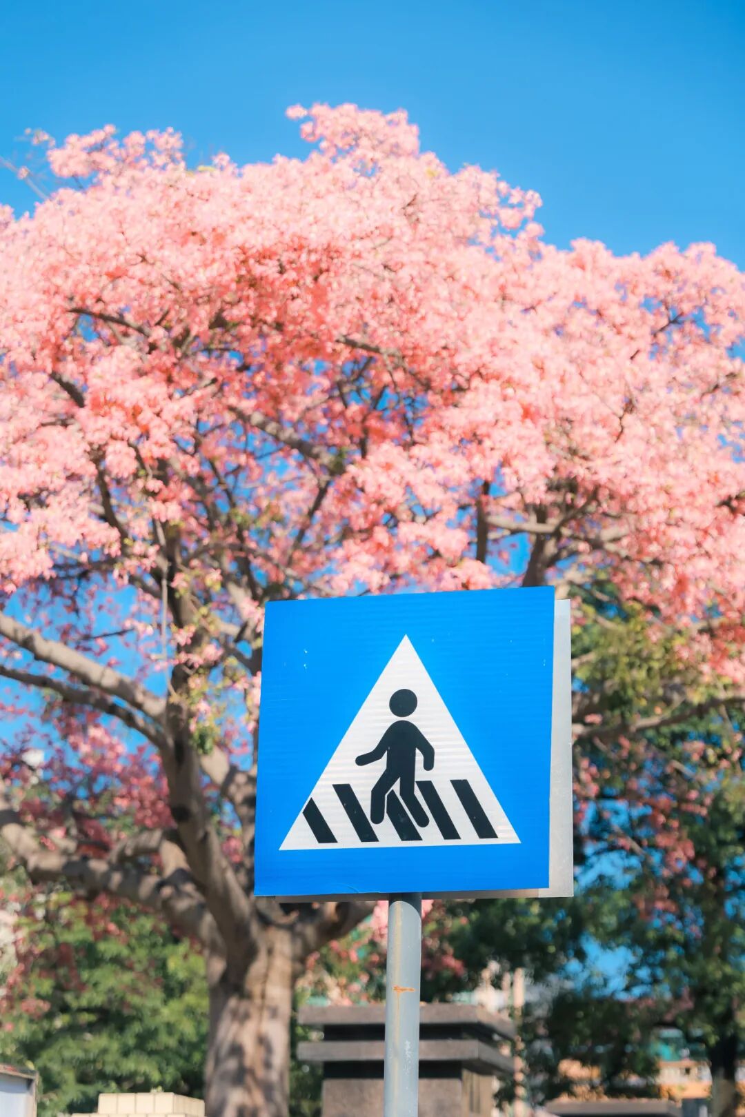 实拍揭秘！又一新馆开放，赶紧冲……