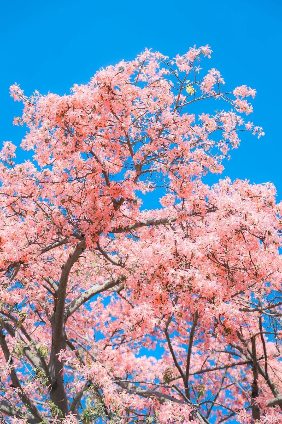 实拍揭秘！又一新馆开放，赶紧冲……