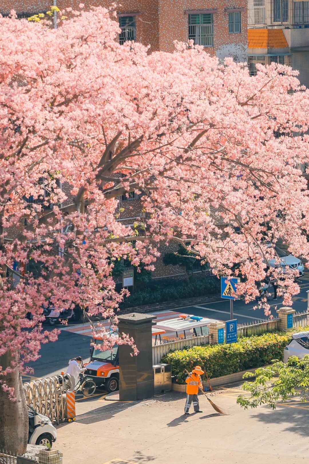 实拍揭秘！又一新馆开放，赶紧冲……