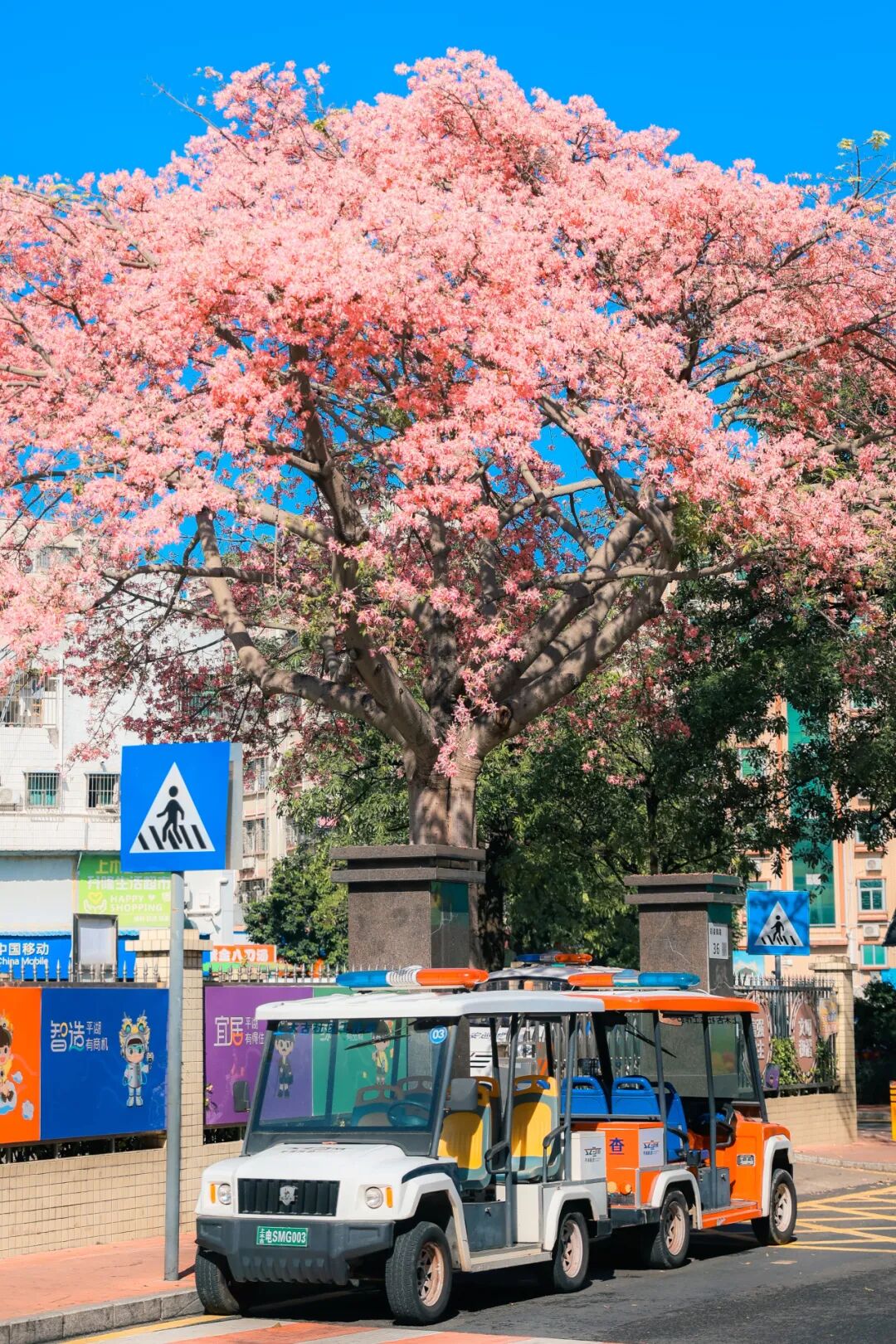 实拍揭秘！又一新馆开放，赶紧冲……