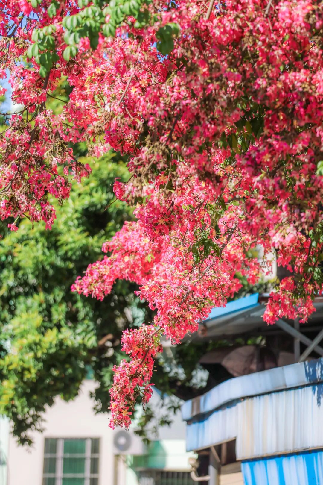 实拍揭秘！又一新馆开放，赶紧冲……