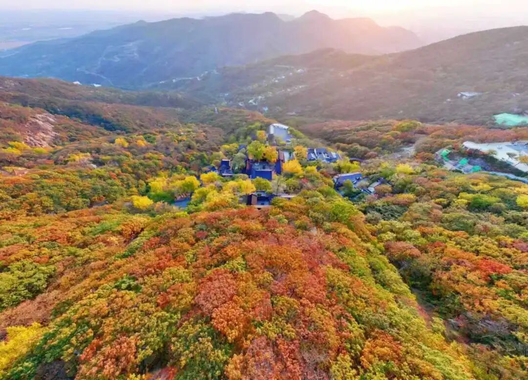 大王叫你来巡山！连云港花果山邀您参加