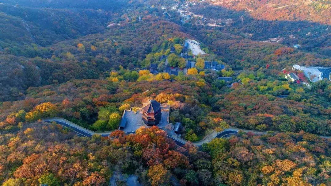 大王叫你来巡山！连云港花果山邀您参加