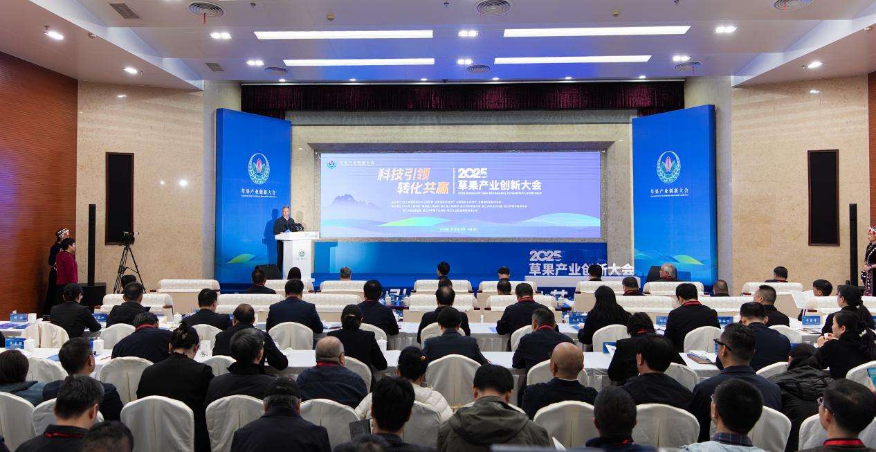 院士专家齐聚云南怒江，共商草果产业创新发展大计