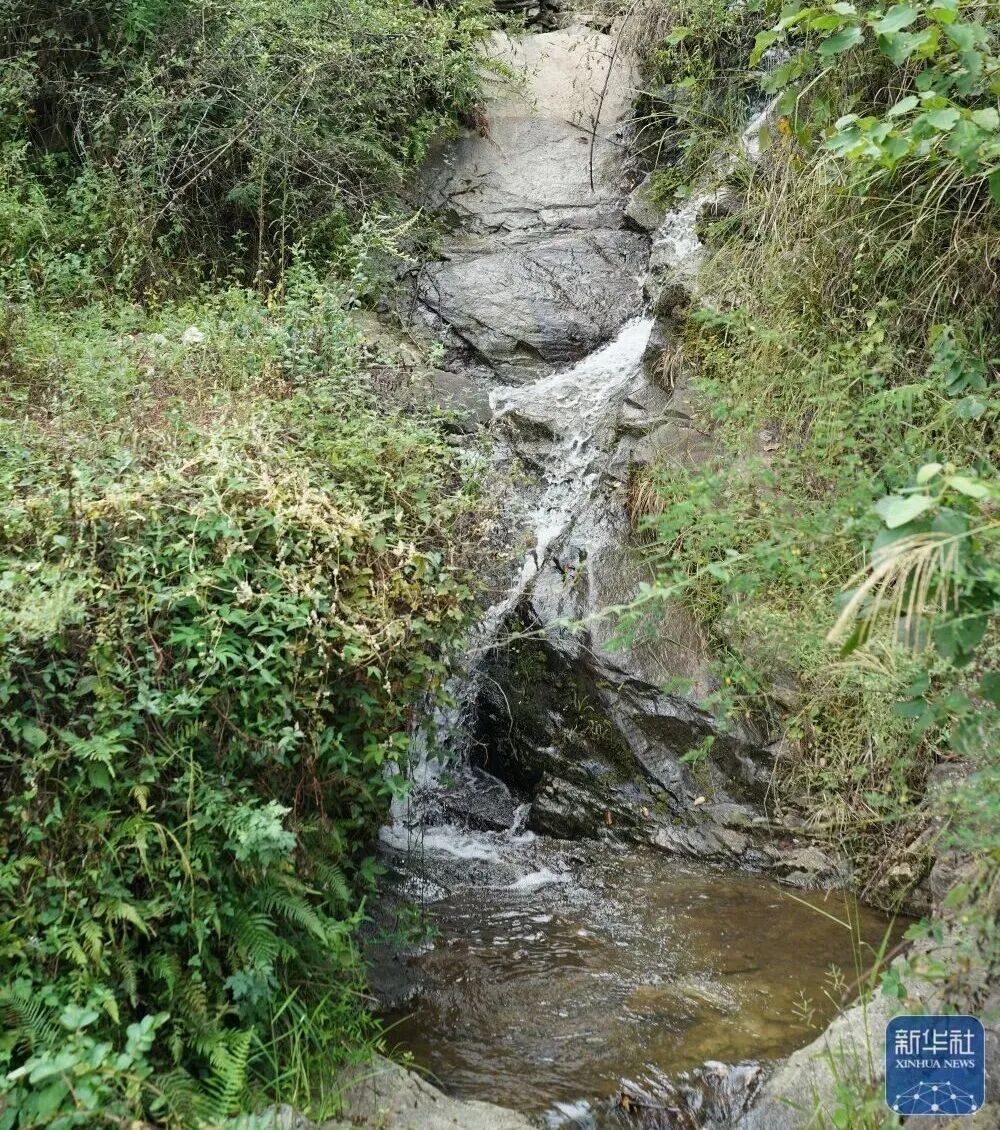 这片田，何以惊艳世界？