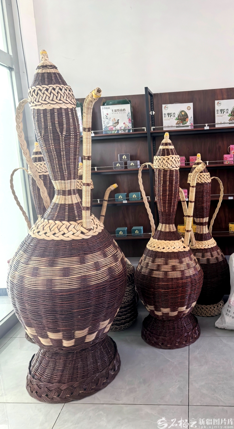 120万亩红柳林如何让荒漠重生——哈拉峻乡的生态振兴实践