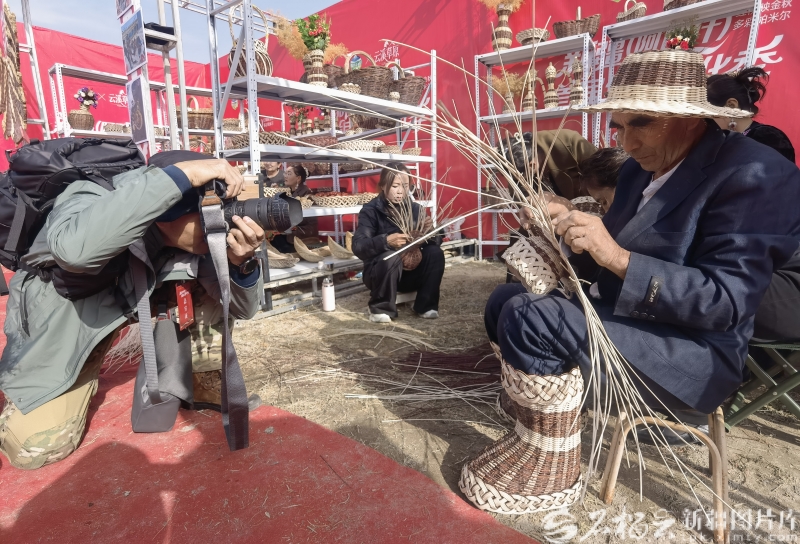 120万亩红柳林如何让荒漠重生——哈拉峻乡的生态振兴实践