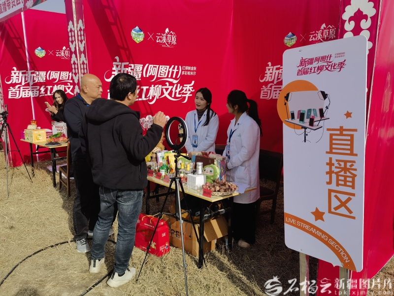 120万亩红柳林如何让荒漠重生——哈拉峻乡的生态振兴实践