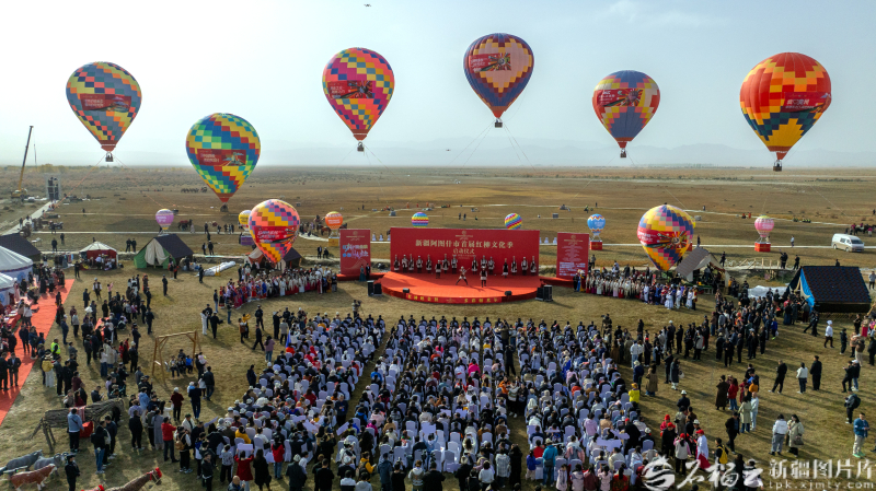 120万亩红柳林如何让荒漠重生——哈拉峻乡的生态振兴实践