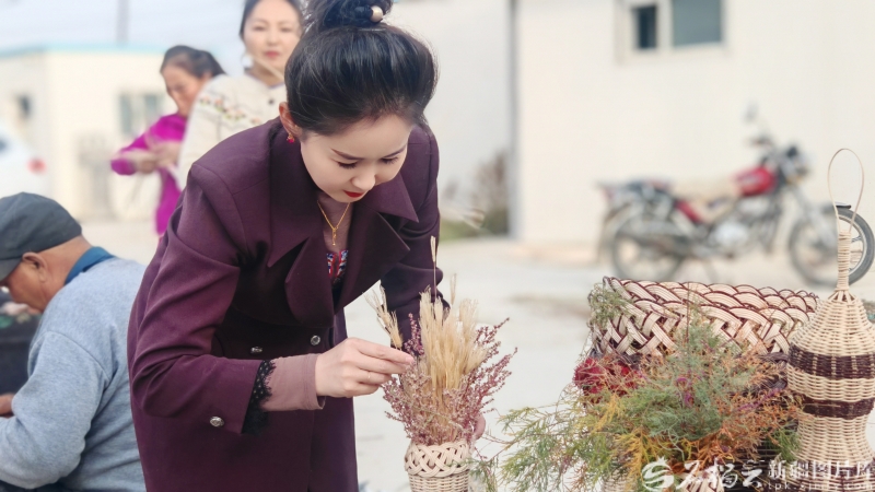 120万亩红柳林如何让荒漠重生——哈拉峻乡的生态振兴实践