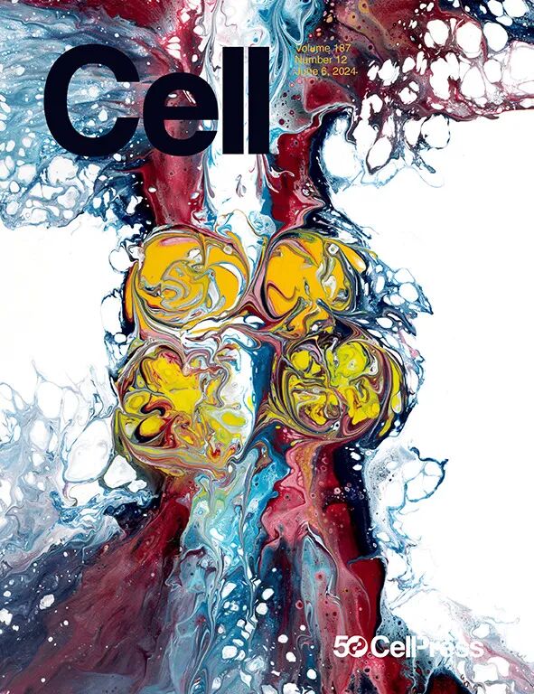 重磅!山东农大这位教授获国际顶尖学界“最高荣誉” 重磅!山东农大这位教授获国际顶尖学界“最高荣誉”