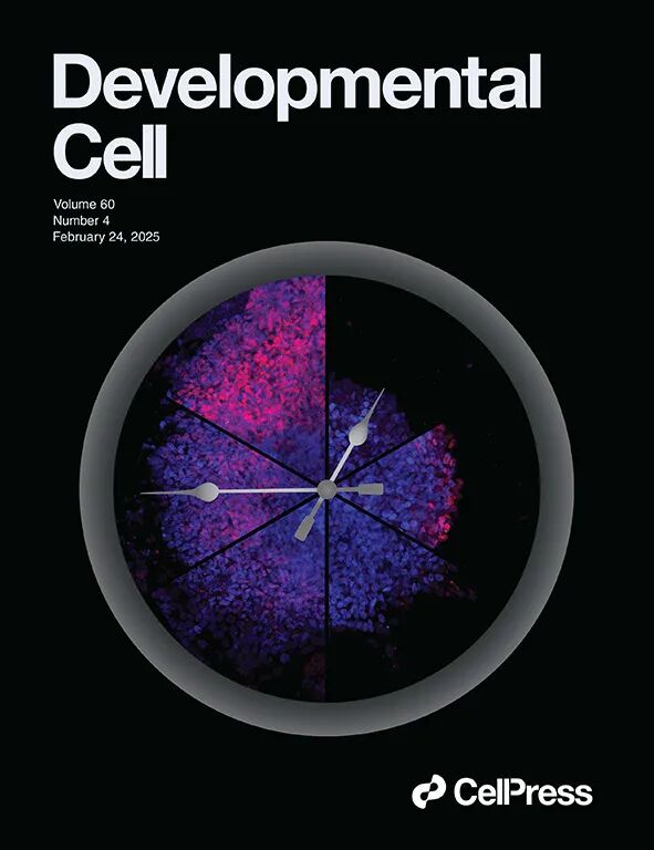 重磅!山东农大这位教授获国际顶尖学界“最高荣誉” 重磅!山东农大这位教授获国际顶尖学界“最高荣誉”