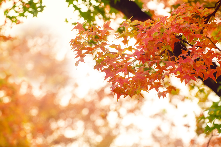 胡艺华：音乐里的哲思——《世界赠予我的》