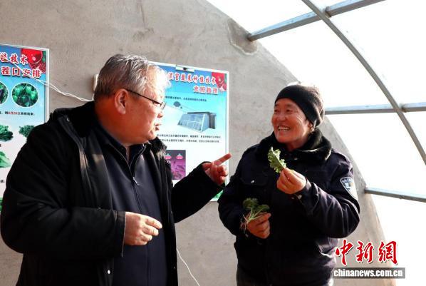 戈壁边关的餐桌之变:292户戍边牧民告别“蔬果寒冬”