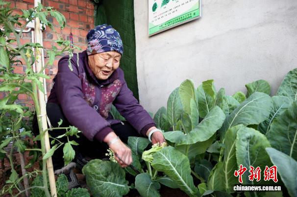 戈壁边关的餐桌之变:292户戍边牧民告别“蔬果寒冬”