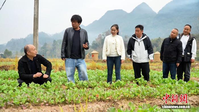 湖南桑植创新“山上换山下”耕地置换模式 破解耕林错配问题