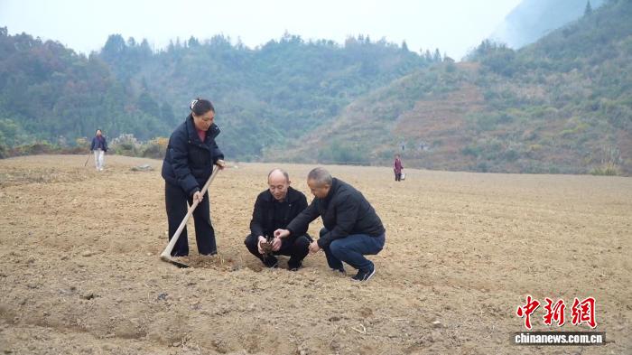 湖南桑植创新“山上换山下”耕地置换模式 破解耕林错配问题