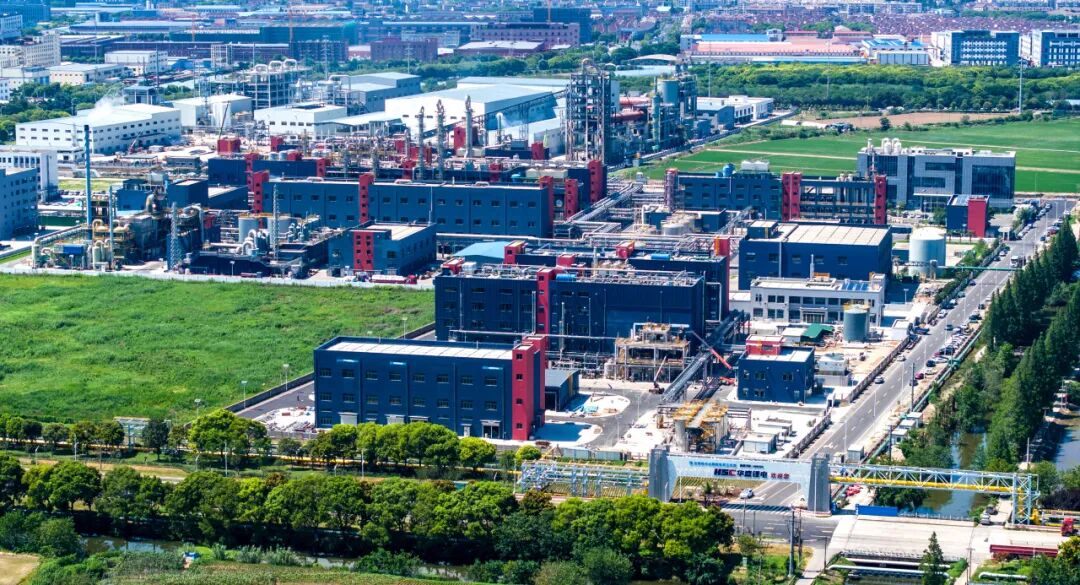 1个特色产业集群,185家企业!强势登榜!