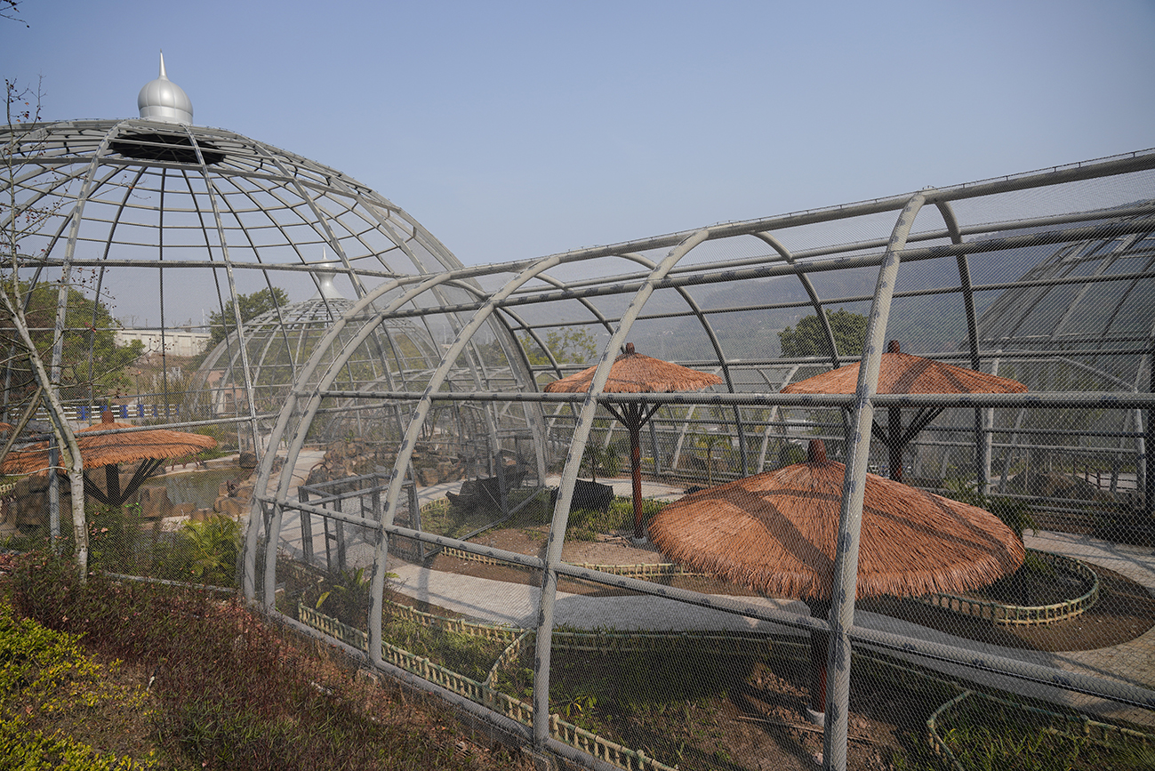 重庆三峡动物园即将建成投用 重庆三峡动物园即将建成投用