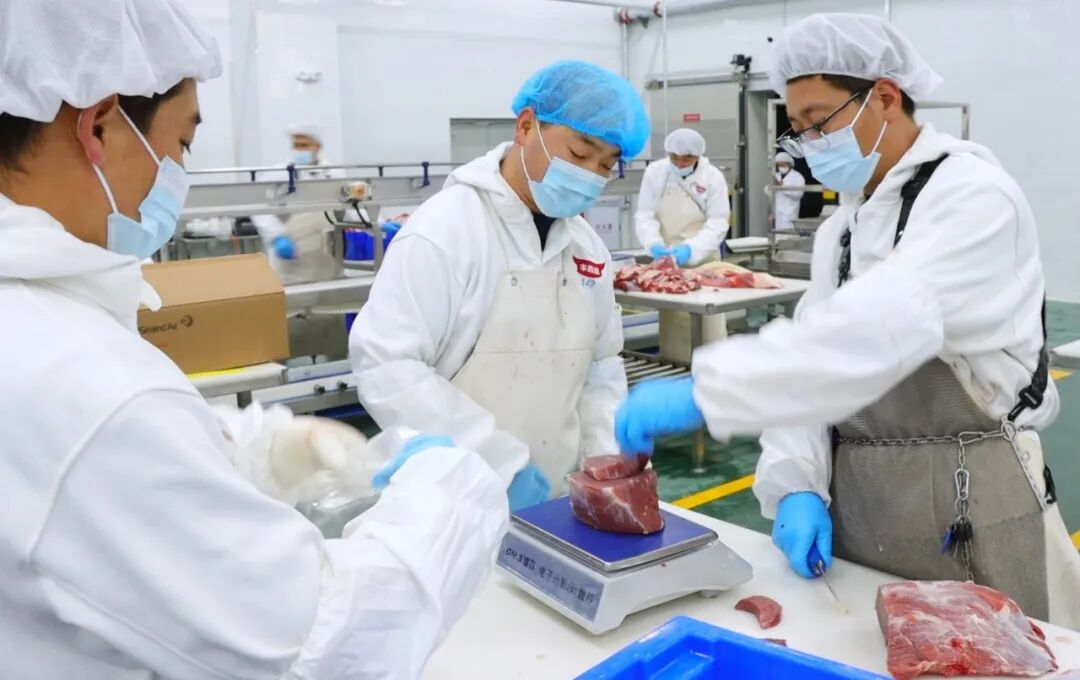 “四项机制”联农带农丨宁夏固原市原州区：肉牛产业撑起乡村振兴“硬腰杆”