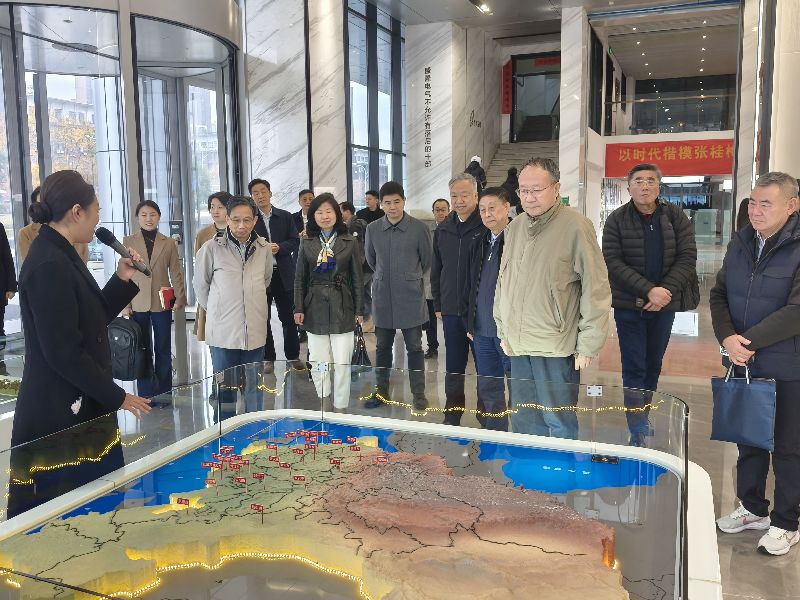 武汉大学老专家助力盛隆电气打造百年企业 武汉大学老专家助力盛隆电气打造百年企业