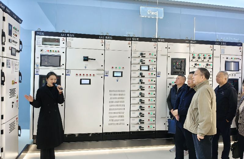 武汉大学老专家助力盛隆电气打造百年企业 武汉大学老专家助力盛隆电气打造百年企业