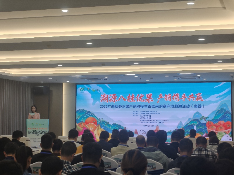 广西:桂果飘香产销旺,聚力赋能乡村兴 广西:桂果飘香产销旺,聚力赋能乡村兴