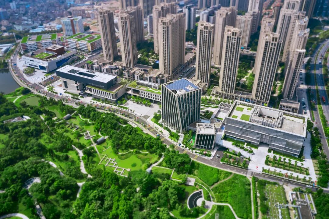 深圳风向：未来的坪山可能让你刮目相看