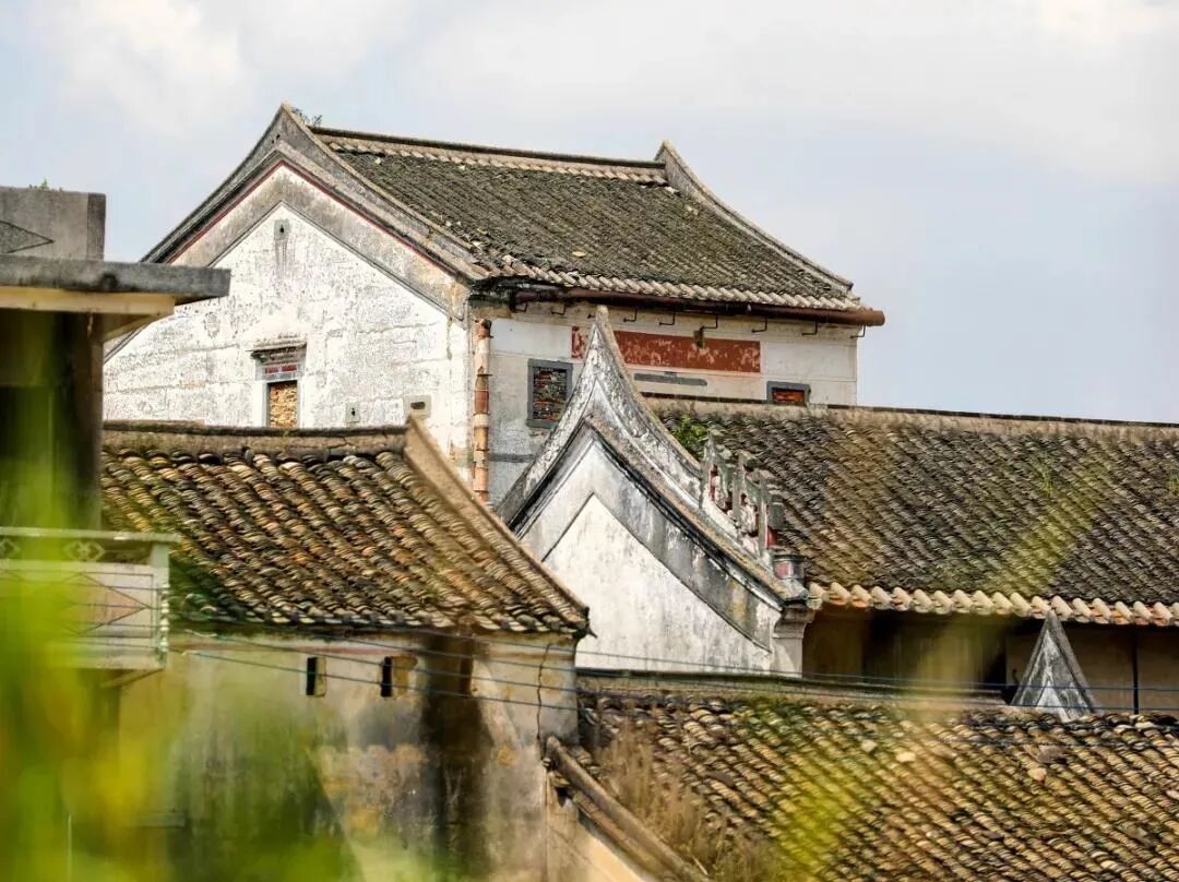 深圳风向：未来的坪山可能让你刮目相看