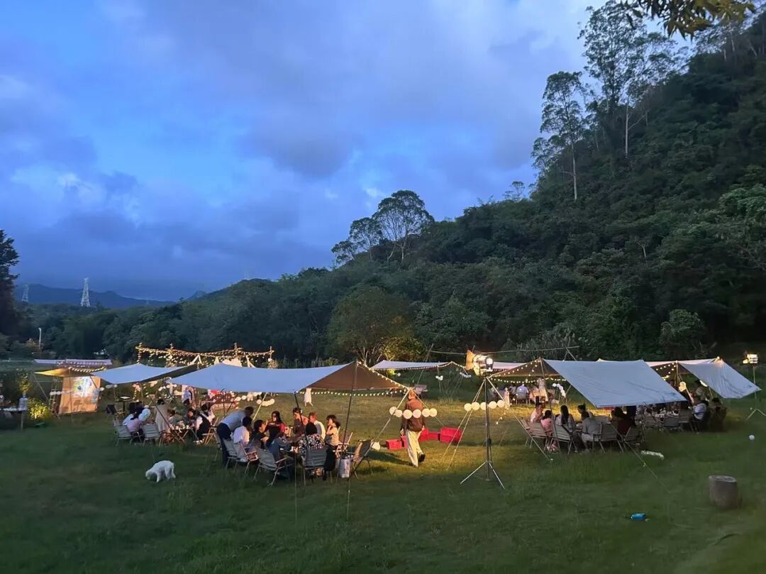 深圳风向：未来的坪山可能让你刮目相看