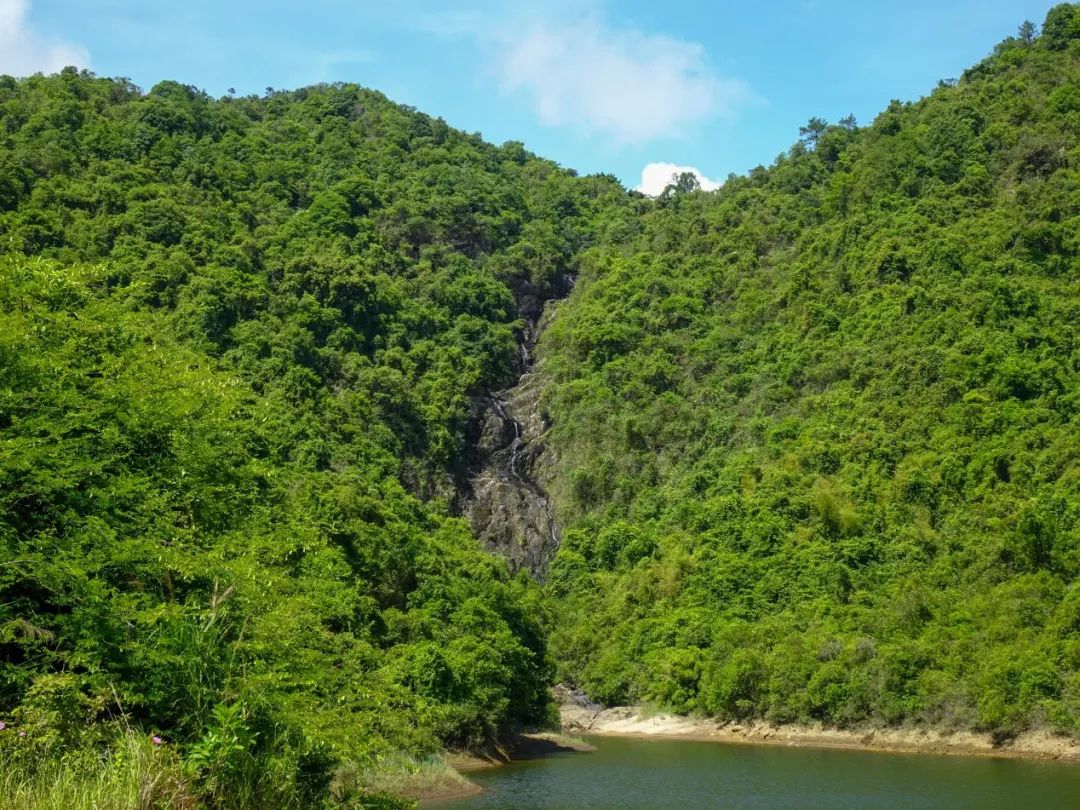 深圳风向：未来的坪山可能让你刮目相看