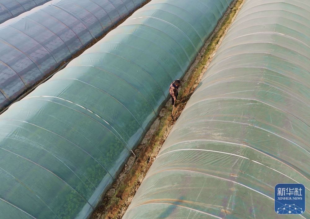 多地积极应对寒潮天气