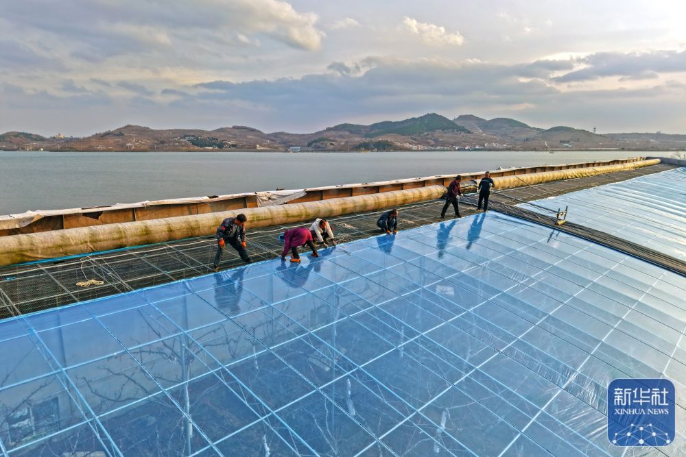 多地积极应对寒潮天气