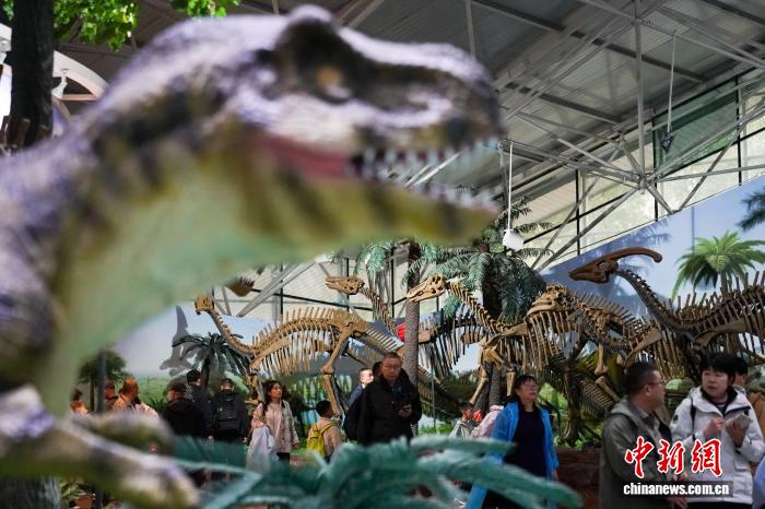 “中国第一龙乡”嘉荫推出五大旅游产品 解锁冬季游玩新体验