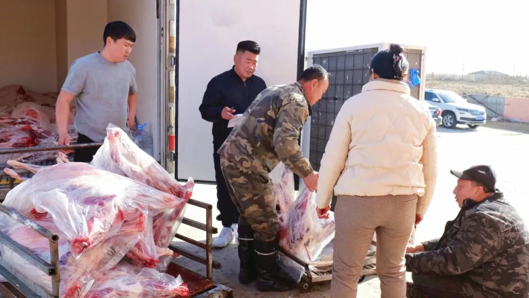 鄂托克旗又一批羊肉运往南京