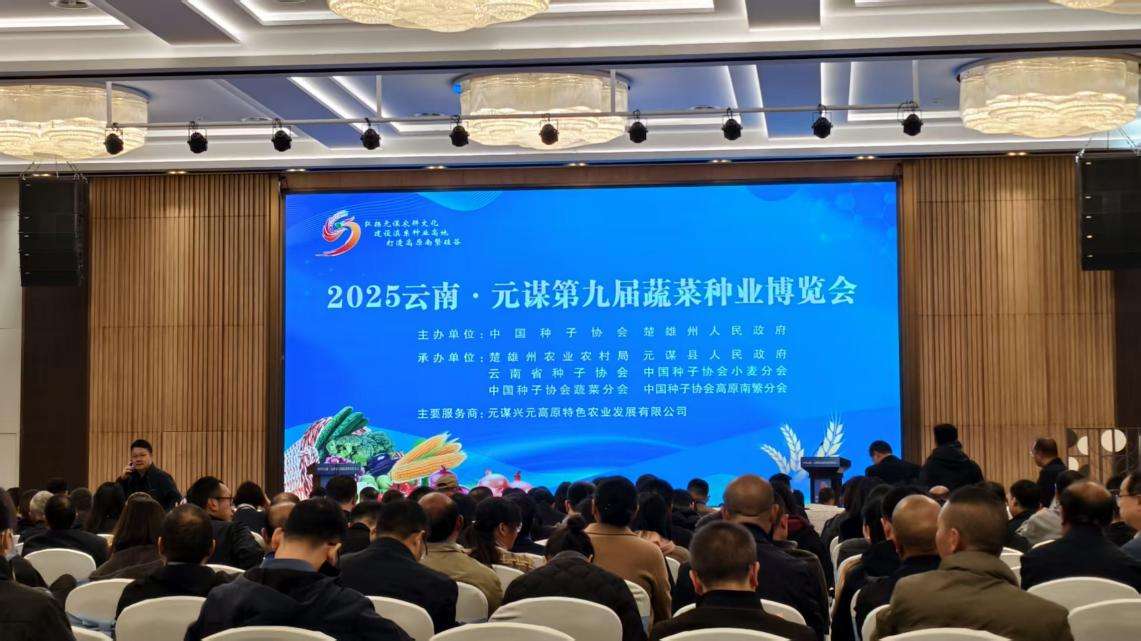 云南元谋:“一粒种子”长成带动共富的“产业硅谷” 云南元谋:“一粒种子”长成带动共富的“产业硅谷”