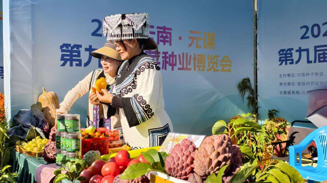 云南元谋:“一粒种子”长成带动共富的“产业硅谷” 云南元谋:“一粒种子”长成带动共富的“产业硅谷”