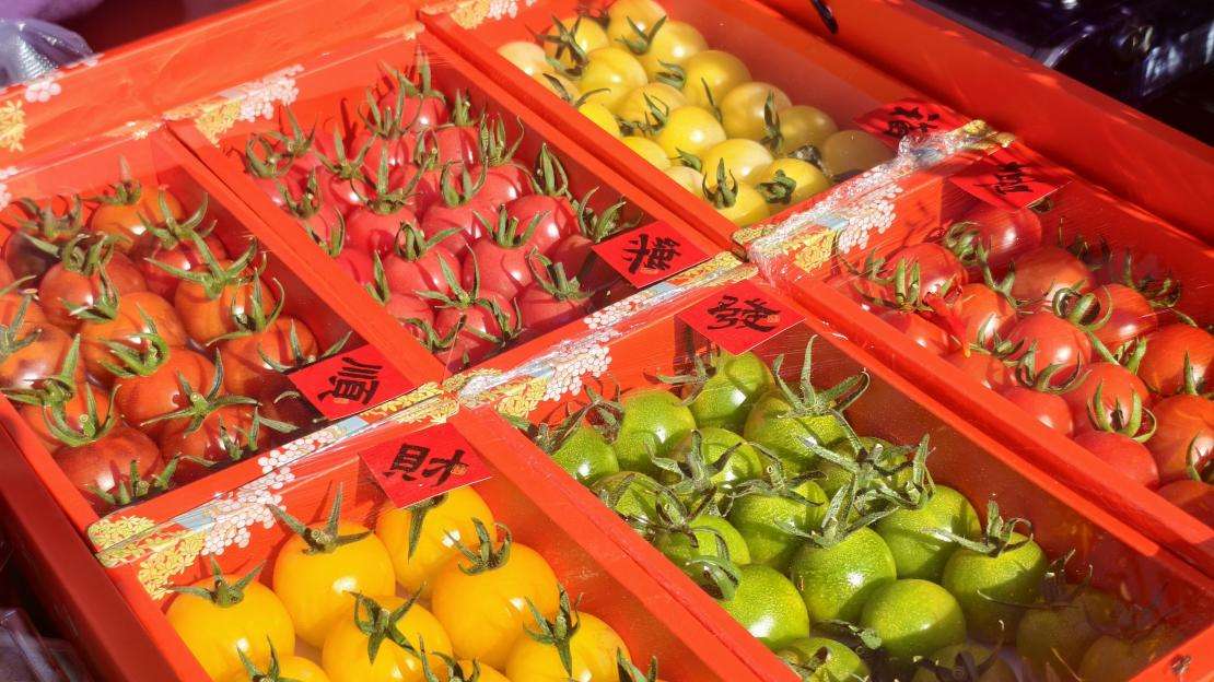 云南元谋:“一粒种子”长成带动共富的“产业硅谷” 云南元谋:“一粒种子”长成带动共富的“产业硅谷”