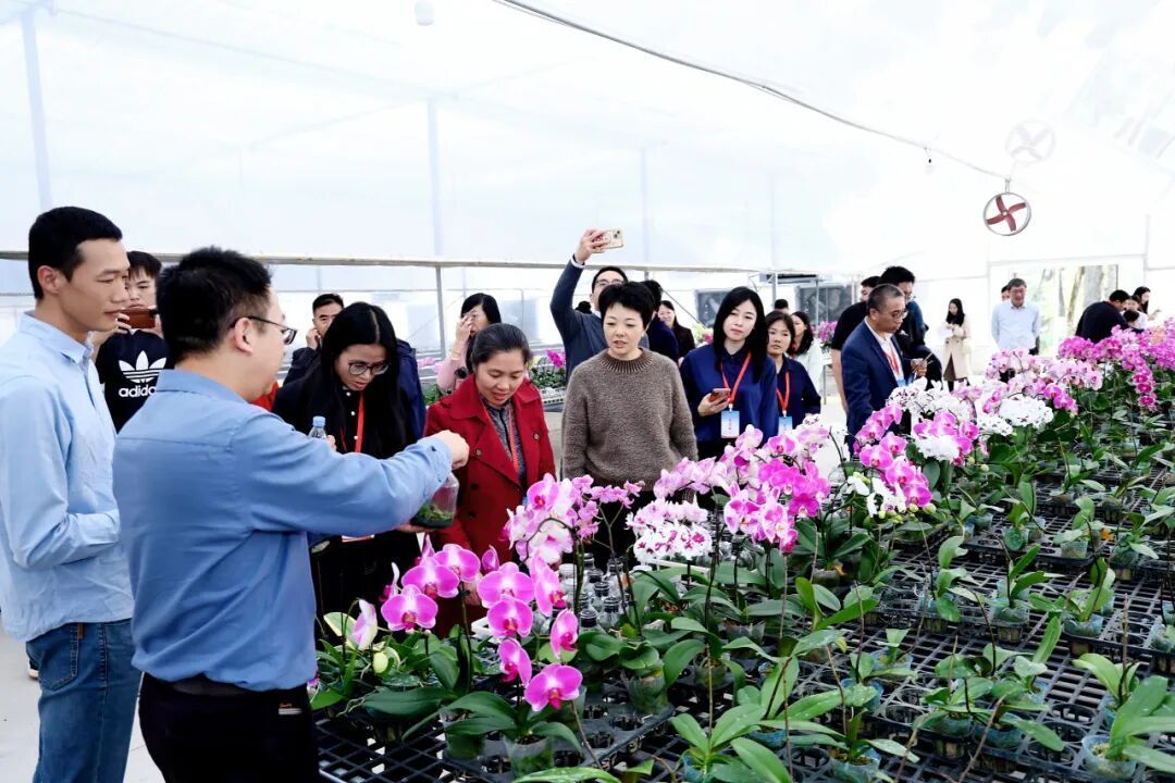 44所高校128个项目,这场大会擘画广东校地融合新蓝图