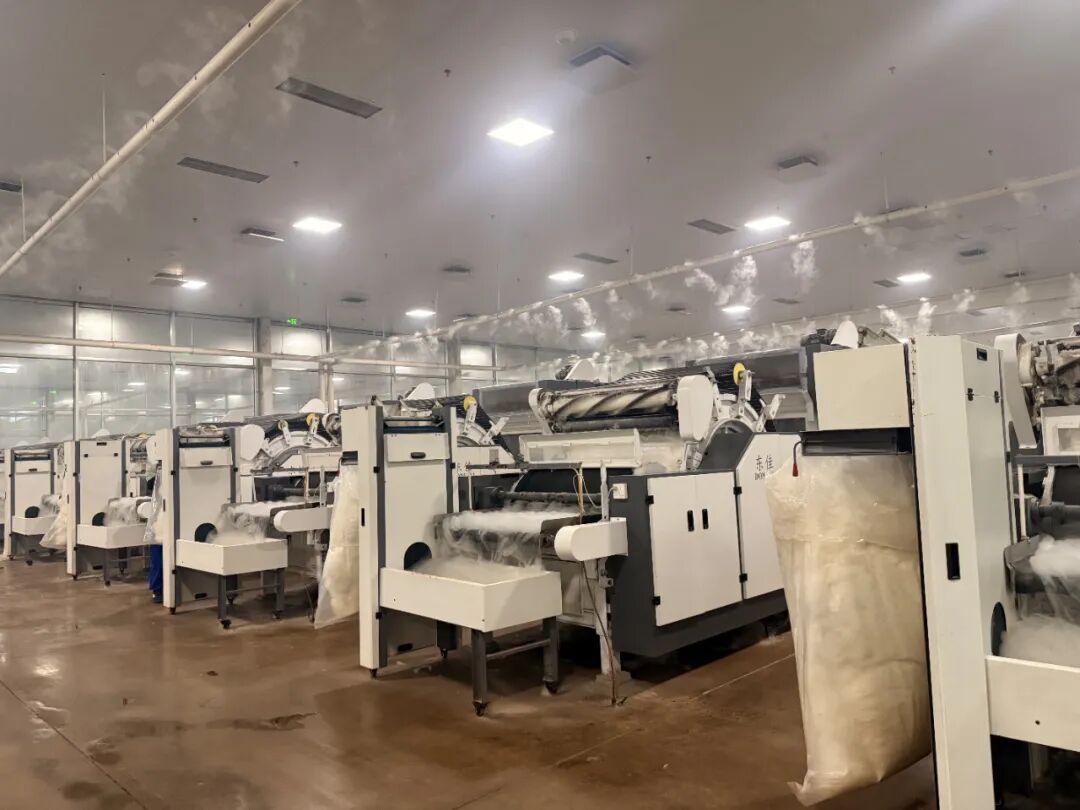 鄂托克前旗:“一克绒”温暖一座城